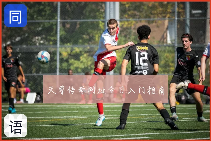 天尊传奇网址今日入门指南